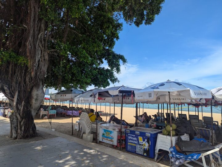 PXL_20251006_034930859 - 株式会社エイト